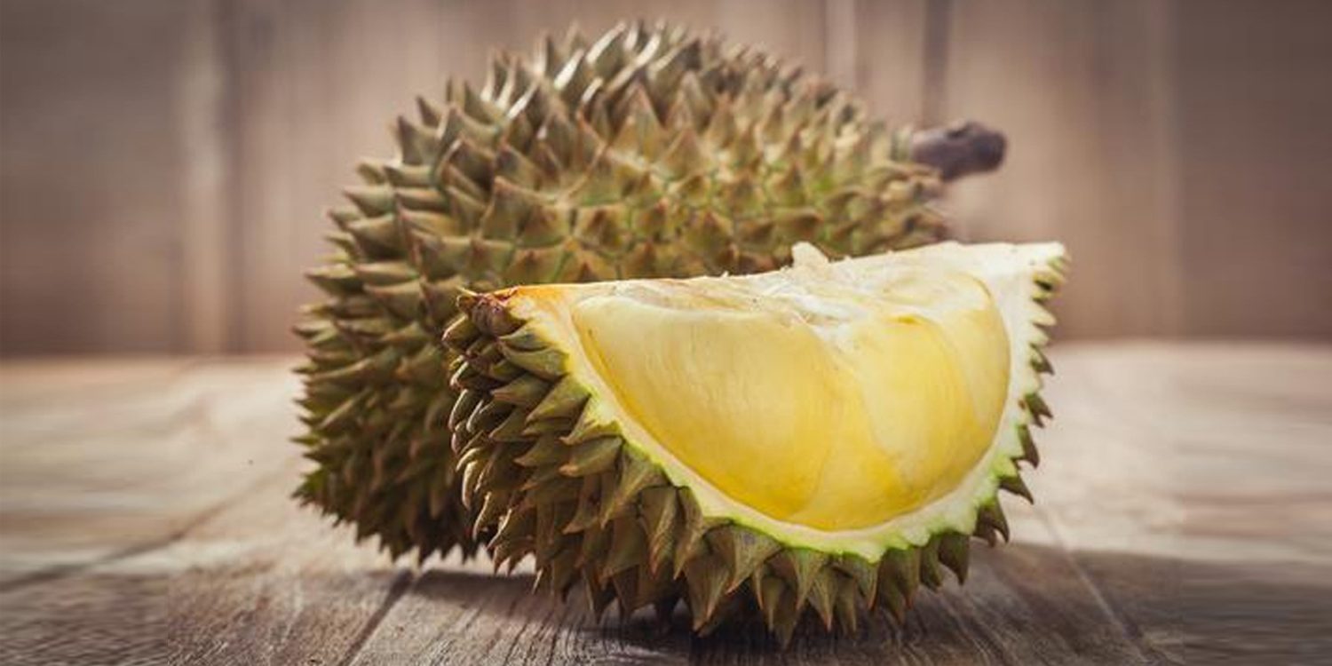 mao shan wang durian fast