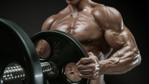Everything You Need to Know About Human Growth Hormone Supplements